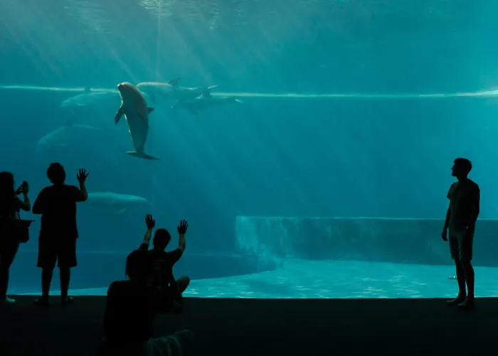 Ostello Bello Genova * Genua