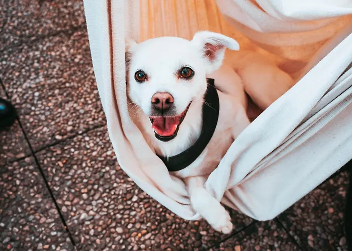 Hostel Ostello Bello Genova *